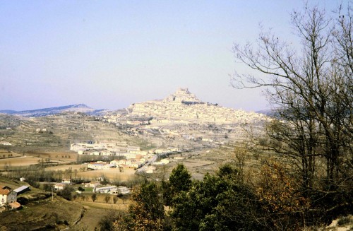 morella
